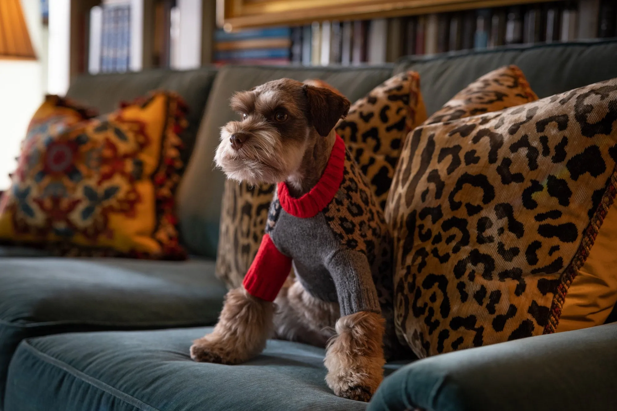 Cashmere Sweaters -  Leopard - Gray Highlights