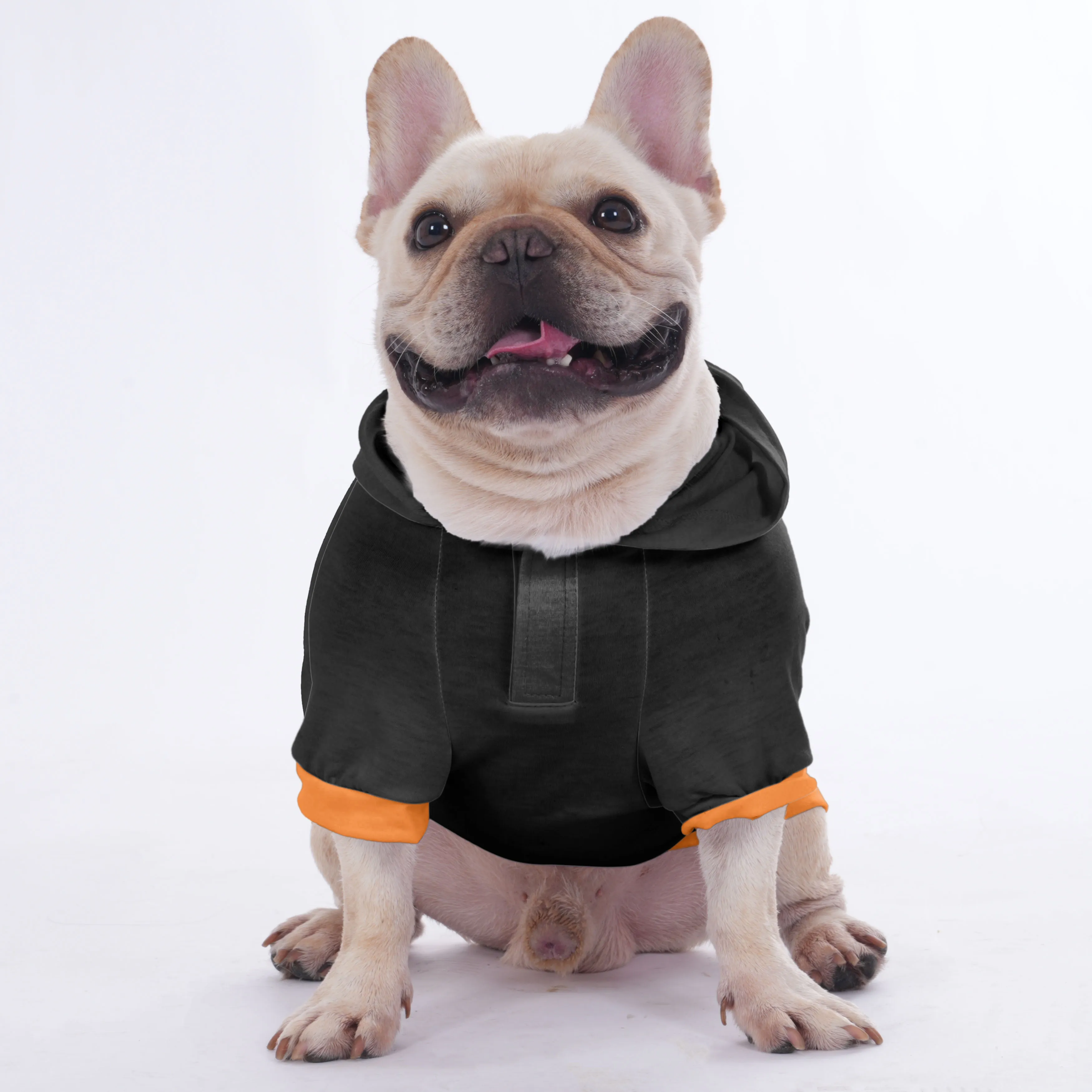 JoJo - Halloween Hoodies for French Bulldog  | Frenchie Shop Original