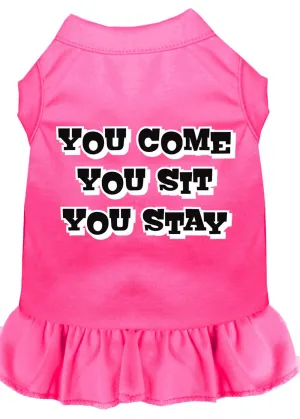 You Come, You Sit, You Stay Screen Print Dress Bright Pink Xl (16)